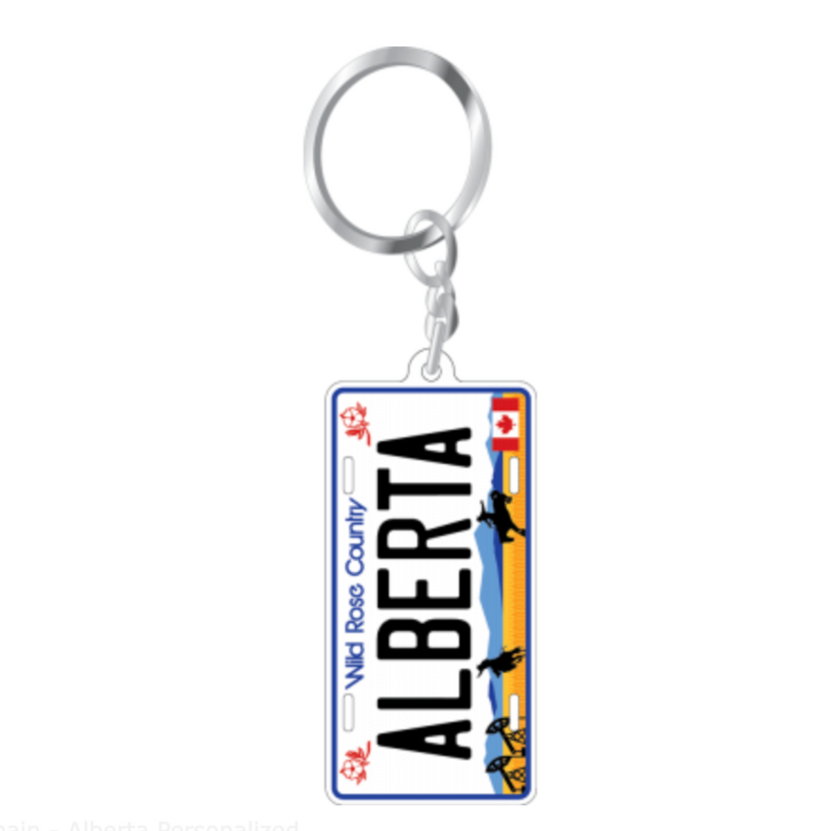 Oregon License Plate Aluminum Ultra-Slim Souvenir Keychain – 2.5 X 1.25 Inches