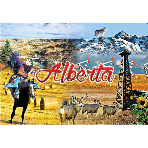 Alberta Souvenir Fridge Magnet Alberta Life