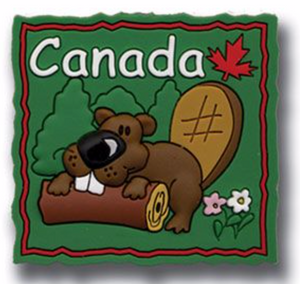 Cute beaver in the forest. Rubbed fridge magnet