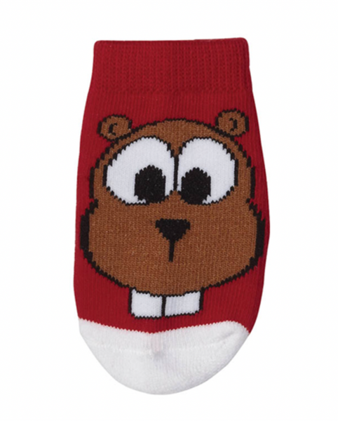 Socks - Beaver 6-12M