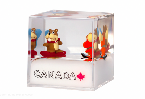A floating cube with a playful illustration of a skiing beaver and moose