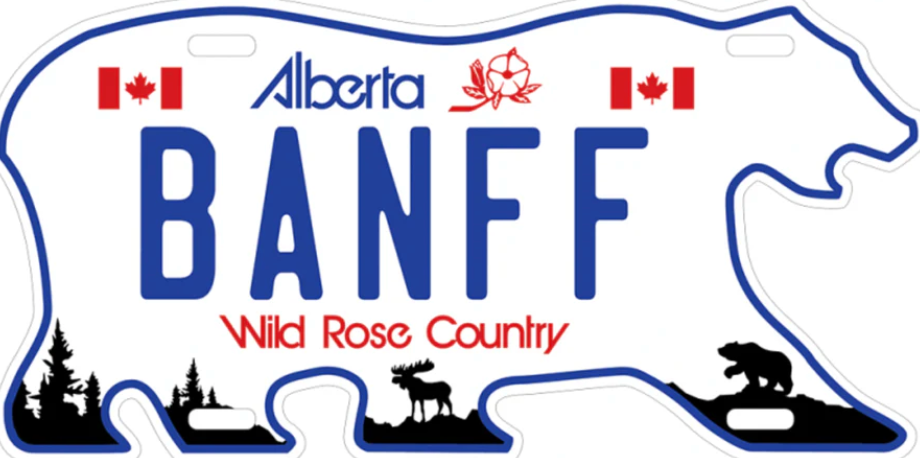 License Plate 12 × 6 inch - Bear Cutting Banff