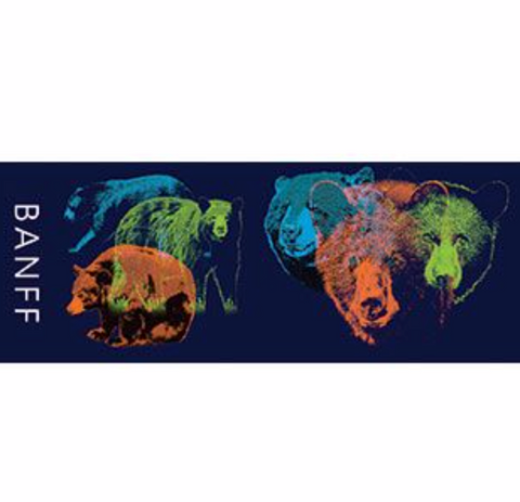Bear, Quadratone Design, colourful, Banff
