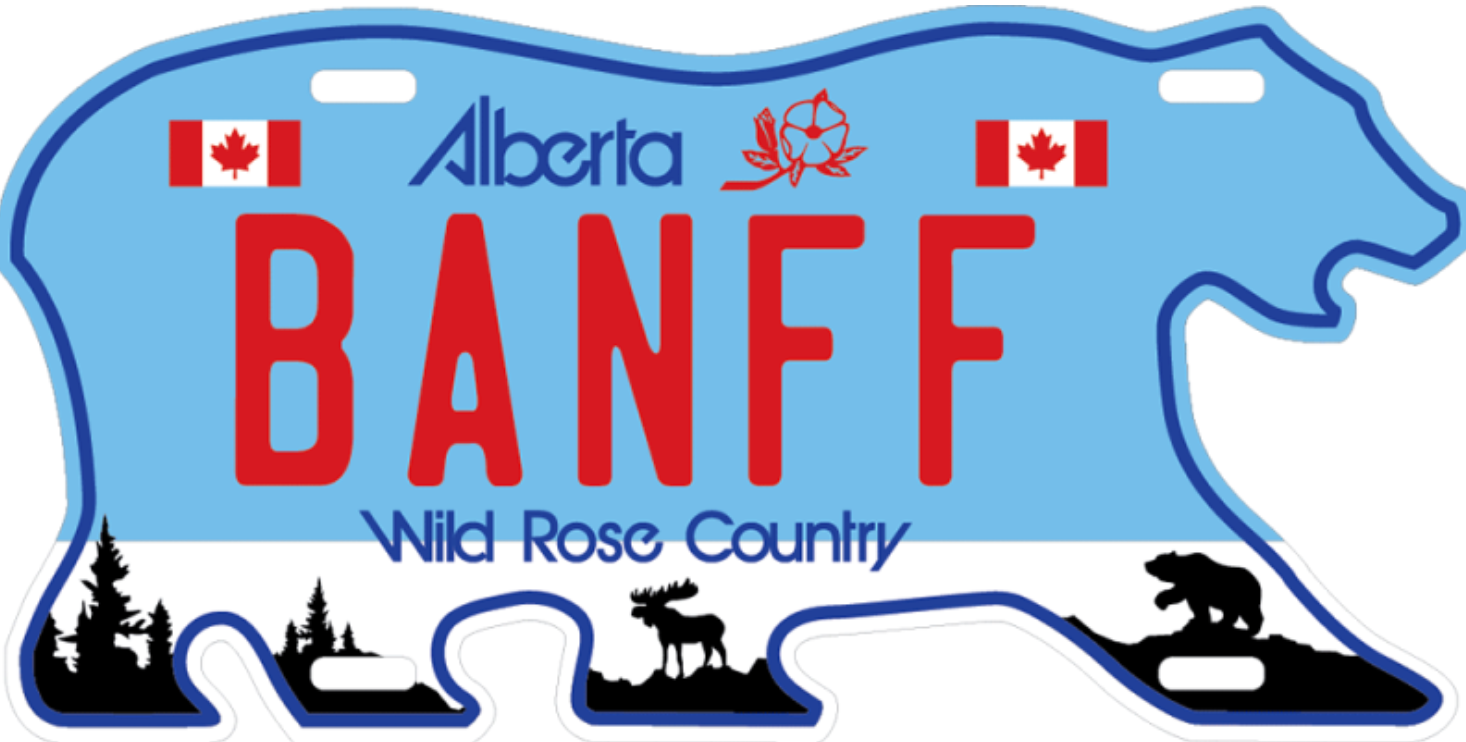 Aluminum Vehicle Plate Magnet 90 × 45 mm - Bear Cutting Banff - Blu Colour