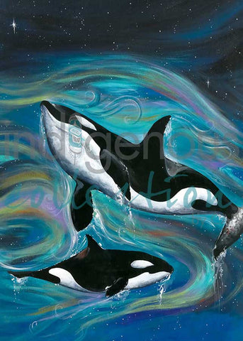 Killer Whales Magnet