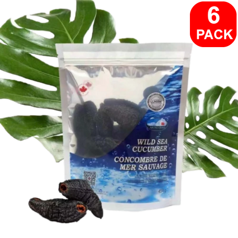 Arctica Food Wild Sea Cucumber Classic 6 units