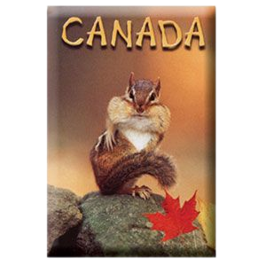 Fridge Magnet Canada Animal Chipmunk