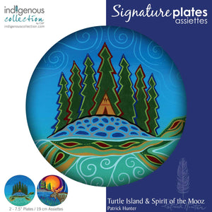 Indigenous Designed Plates Turtle Island By Micqaela Jones